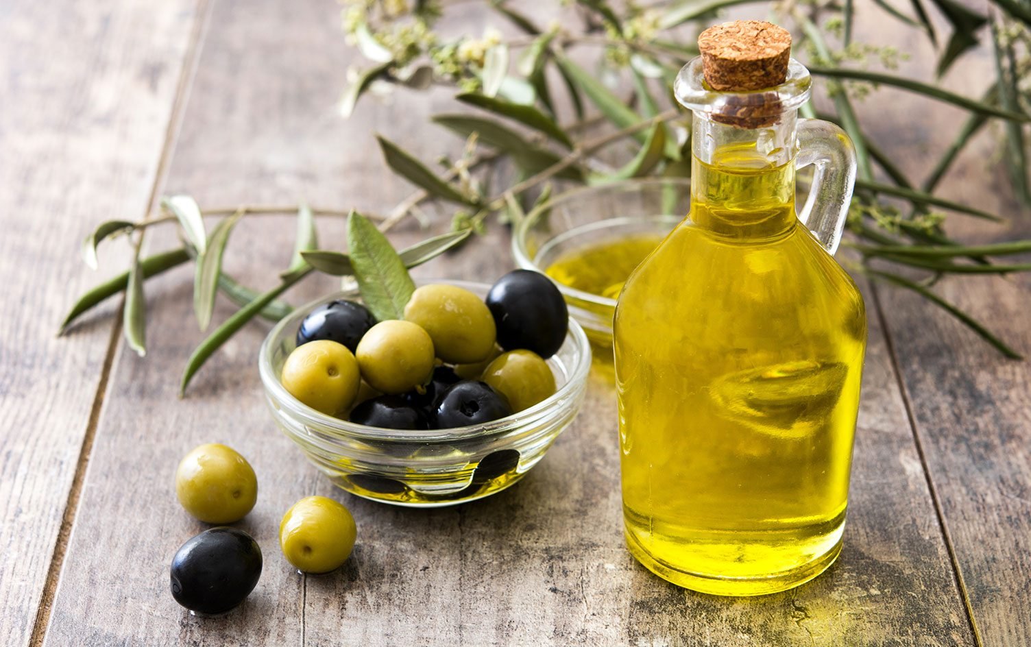 Рацион, богатый олеиновой кислотой, продлевает жизнь
